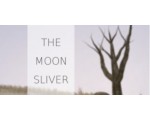 THE MOON SLIVER Steam Key PC - All Region